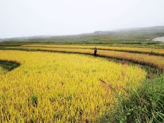 -龙里油画大草原旅游区