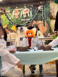 -卡通尼·Safari非洲探索乐园·生日会(金桥国际商业广场店)