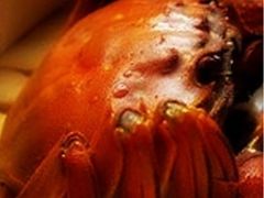 iphone_upload_pic-新花城蟹粉馆(乌鲁木齐店)