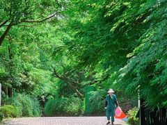 -西湖风景区-江洋畈生态公园
