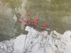 -广富林宰相府酒店·水云间