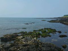 -Cafe Aewol Monsant