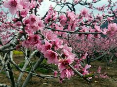 -金堂县云顶石城风景区