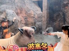 -波塞冬旅游度假区