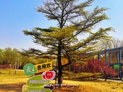-太阳宫公园
