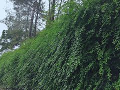 -白云山风景名胜区