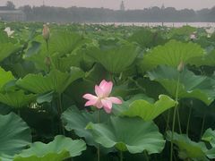 -重元寺香积厨素斋馆