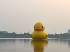 -深圳人才公园
