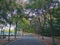 -哈尔滨工业大学(威海校区)