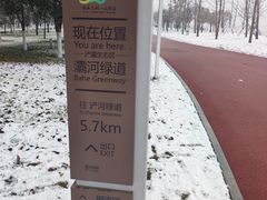 -灞河西岸滨河公园