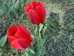 -长春公园(普阳街道)