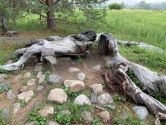 -北极村旅游风景区