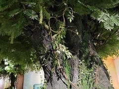 -阿哈湖国家湿地公园