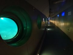 -白鹤梁水下博物馆