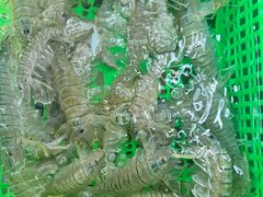 -众味海鲜大排档·活海鲜·潮汕味(南澳店)