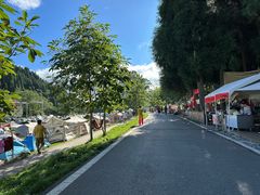 -武陵山森林公园