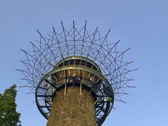 -黄海国家森林公园