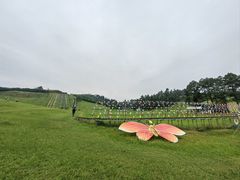 -衢州飞鸿滑草场