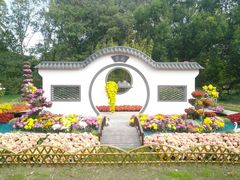 -上海共青森林公园