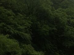 -尧山风景区