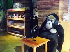 -Who乎coffee&bar
