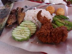 Nasi-榜鹅椰浆饭中心