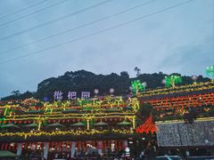 -枇杷园食为鲜火锅(南山店)