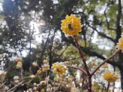 -徐家汇源景区-衡山公园