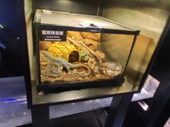 -太平洋海底世界