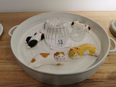 -猫里有甜