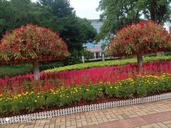 -万达影城IMAX(海口日月广场店)