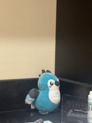 点击看大图 -上海玫瑰医疗美容医院