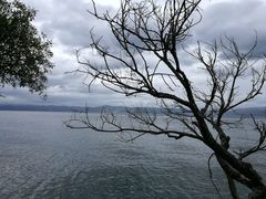 -抚仙湖禄充风景区