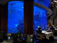 -迪拜帆船酒店海底餐厅