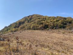 -白草畔自然风景区