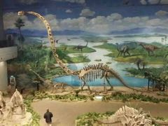 android_upload_pic-自贡恐龙博物馆