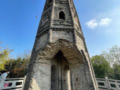 -上海佘山国家森林公园天马山园