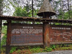 -峡谷浮石林景区