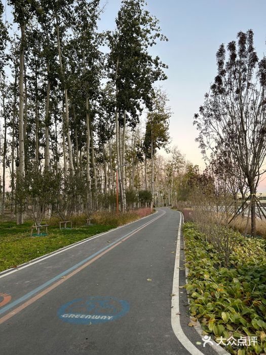 坝河休闲公园图片