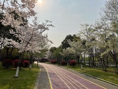 -尚贤河湿地