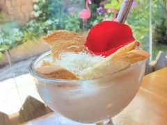 -菌自由丨野生菌火锅特色庭院餐厅(丽江古城店)