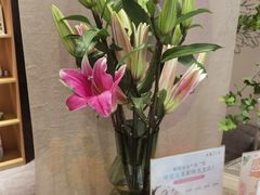 -左悦·艾灸调理·推拿按摩·精油SPA(卓悦汇店)
