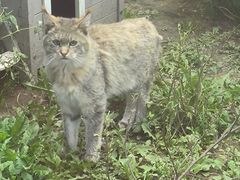 -青藏高原野生动物园