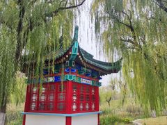 -咸阳湖景区-古渡公园