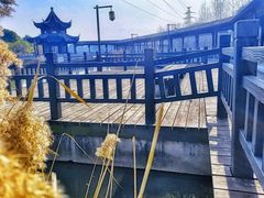 -八大山人梅湖景区