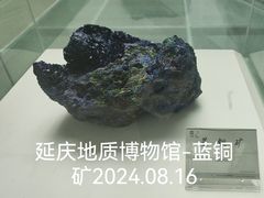 -延庆地质公园博物馆