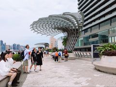 -星光大道