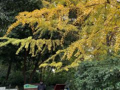 -成都市活水公园