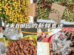 -淡村菜市场