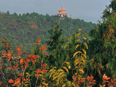 -府君山公园